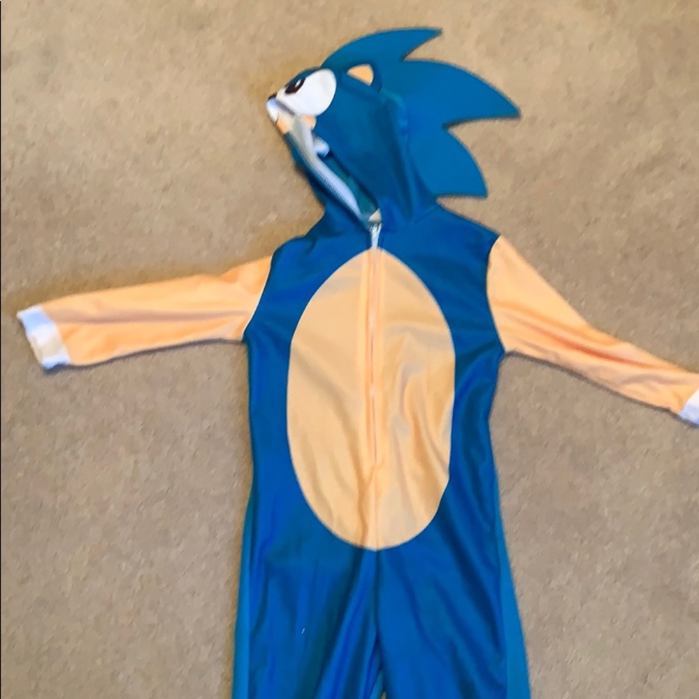 Sonic Costume